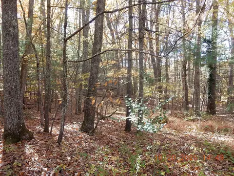21 Shepherds Trl, Hot Springs, VA 24445