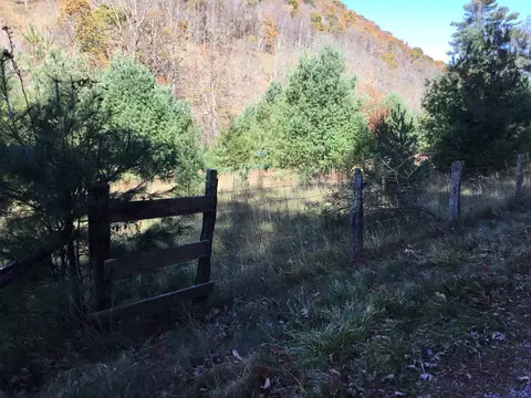 2817 Dry Run Rd, Franklin, WV 26807