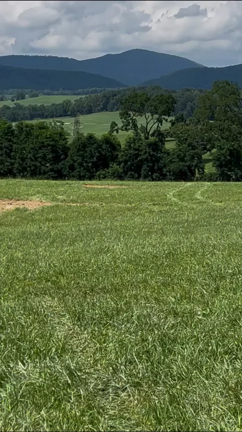 tbd Roudabush Ln, Churchville, VA 24421