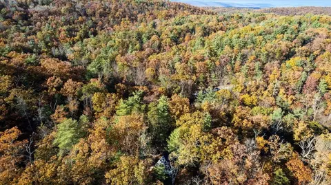 View/Area - 491 S Maple Rd S, Mount Jackson, VA 22842 photo 2 of 2