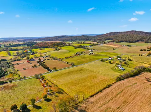 0 Bauserman Rd, Mount Jackson, VA 22842 photo 10