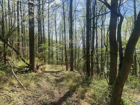 Other - 2728 E Branch Loop, Roseland, VA 22967 photo 24 of 24
