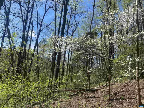 Other - 2728 E Branch Loop, Roseland, VA 22967 photo 10 of 24