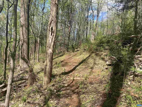 Exterior - 2728 E Branch Loop, Roseland, VA 22967 photo 5 of 5