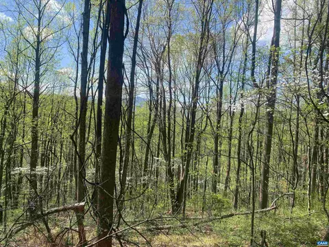 Other - 2728 E Branch Loop, Roseland, VA 22967 photo 23 of 24