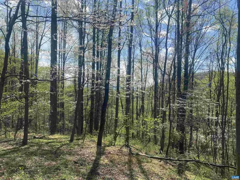 Other - 2728 E Branch Loop, Roseland, VA 22967 photo 22 of 24