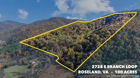 Other - 2728 E Branch Loop, Roseland, VA 22967 photo 20 of 24