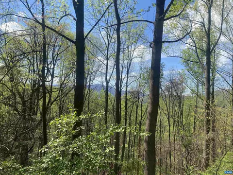 Other - 2728 E Branch Loop, Roseland, VA 22967 photo 3 of 24