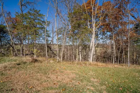 tbd W Roman Ridge Rd W, Mount Sidney, VA 24467 photo 12