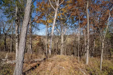 tbd W Roman Ridge Rd W, Mount Sidney, VA 24467 photo 13