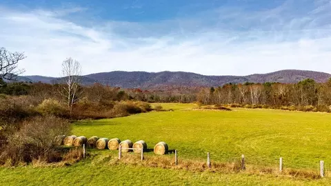 tbd Jackson River Rd, Monterey, VA 24465 photo 22
