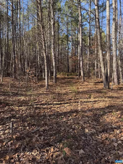 tbd Union Hill Dr, Wingina, VA 24599
