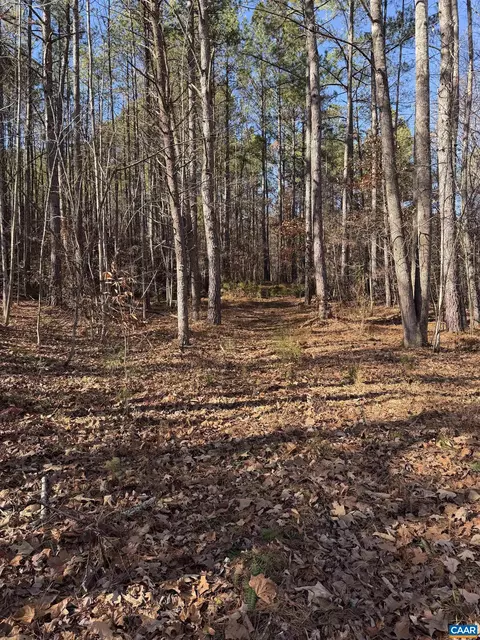 tbd Union Hill Dr, Wingina, VA 24599