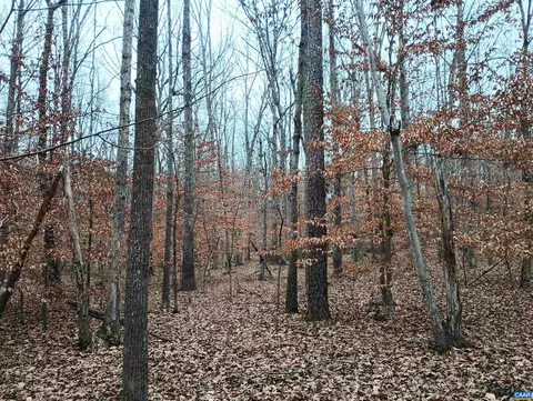 0 Axtell Rd, Scottsville, VA 24562