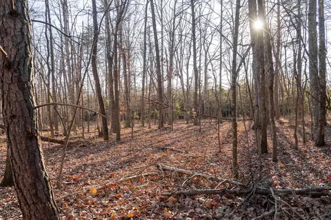 0 Woodland Dr, Luray, VA 22835