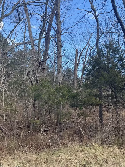 tbd Walker Creek Rd, Middlebrook, VA 24459