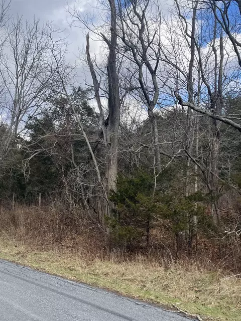 tbd Walker Creek Rd, Middlebrook, VA 24459 photo 3