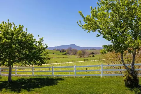 2834 Brownsburg Tpke, Raphine, VA 24472 photo 39