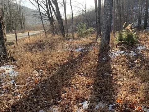 tbd Upper Back Creek Rd, Monterey, VA 24465
