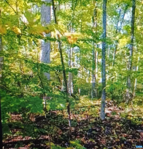 lot1154 Ferndale Dr, Louisa, VA 23093