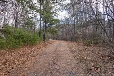 0 Fleming Park Rd, Mount Jackson, VA 22842 photo 11