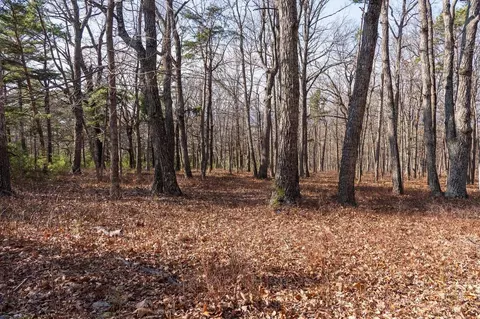 0 Fleming Park Rd, Mount Jackson, VA 22842 photo 17