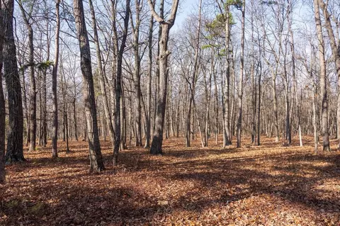 0 Fleming Park Rd, Mount Jackson, VA 22842 photo 19