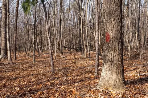 0 Fleming Park Rd, Mount Jackson, VA 22842 photo 14