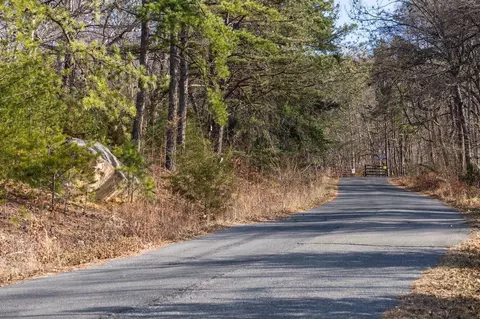 0 Fleming Park Rd, Mount Jackson, VA 22842 photo 23