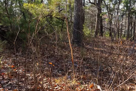 0 Fleming Park Rd, Mount Jackson, VA 22842 photo 18