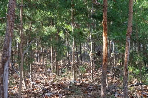 0 Fleming Park Rd, Mount Jackson, VA 22842 photo 16