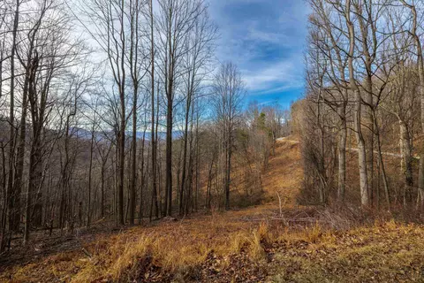 tbd Hensley Holw, Elkton, VA 22827