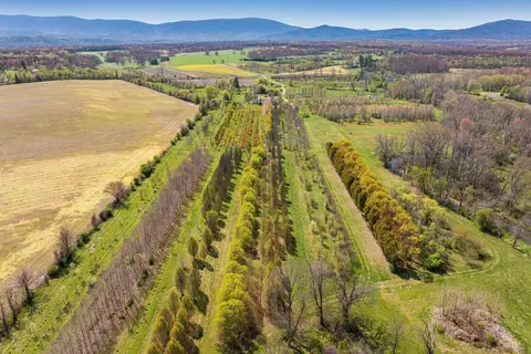 View/Area - 514 Lipscomb Rd, Stuarts Draft, VA 24477 photo 19 of 24
