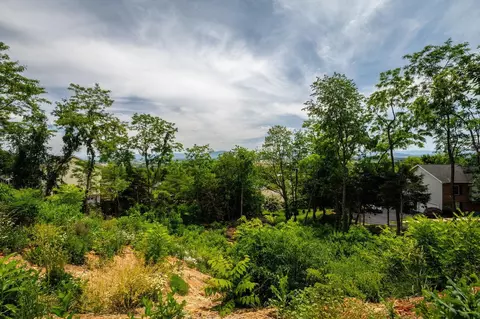 Valley View Dr, Mount Sidney, VA 24467 photo 10