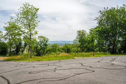 Valley View Dr, Mount Sidney, VA 24467 photo 4