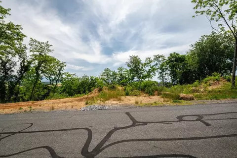 Valley View Dr, Mount Sidney, VA 24467 photo 6