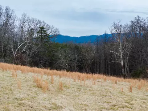 Other - 516 Slapp Creek Rd, Amherst, VA 24521 photo 9 of 12