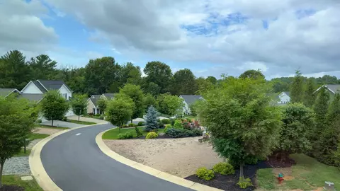View/Area - 41 Chamberlain Loop, Lexington, VA 24450 photo 3 of 4