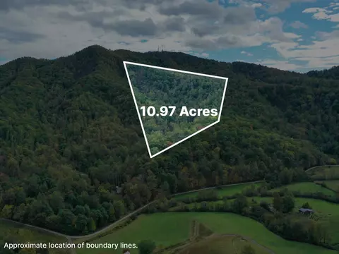 tbd Davis Creek Ln, Lovingston, VA 22949