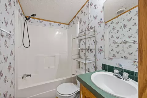 Bath - 38 Maggie Ln, Mount Solon, VA 22843 photo 4 of 6