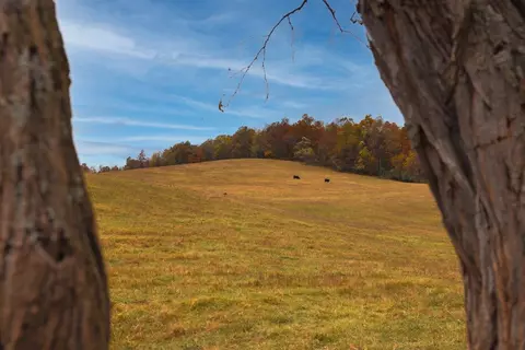 tbd Old B And O Rd, Raphine, VA 24472 photo 25