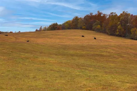 tbd Old B And O Rd, Raphine, VA 24472 photo 26