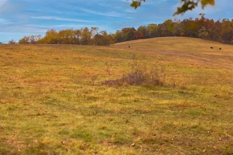 tbd Old B And O Rd, Raphine, VA 24472 photo 22