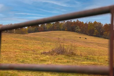 tbd Old B And O Rd, Raphine, VA 24472 photo 21