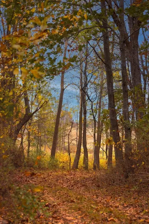 tbd Old B And O Rd, Raphine, VA 24472 photo 14