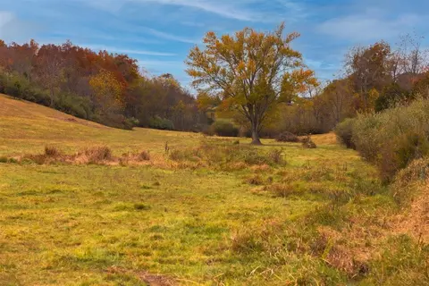 tbd Old B And O Rd, Raphine, VA 24472 photo 29