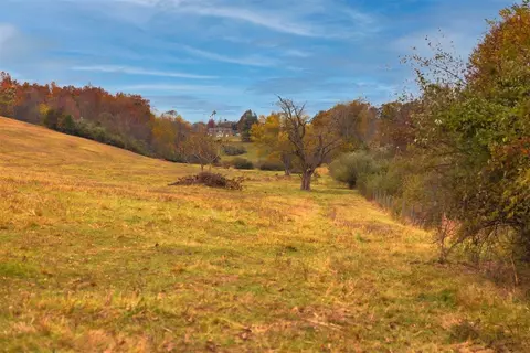 tbd Old B And O Rd, Raphine, VA 24472 photo 23