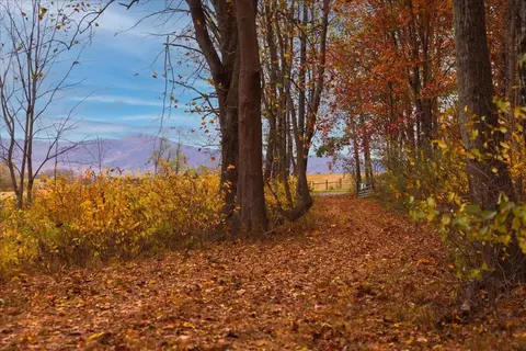 tbd Old B And O Rd, Raphine, VA 24472 photo 33