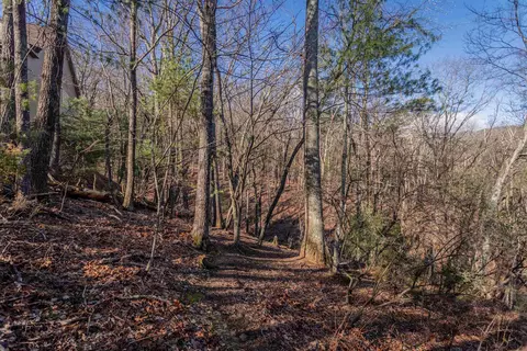 141 Laird Pl, Mcgaheysville, VA 22840