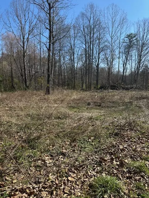 tbd 0 Crimora Mine Rd, Crimora, VA 24431